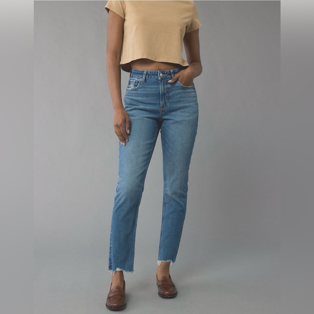 American Eagle / Strigid Mom Jean